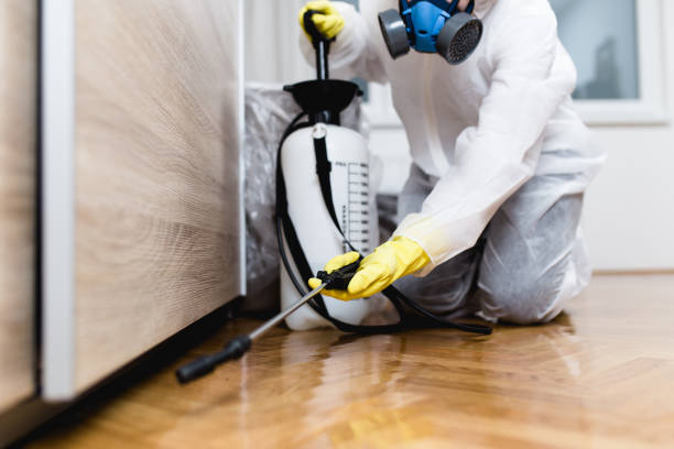 Best Exterminator Services  in Lakeland South, WA