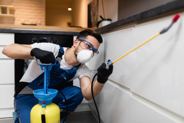 Best Best Pest Control Companies  in Lakeland South, WA