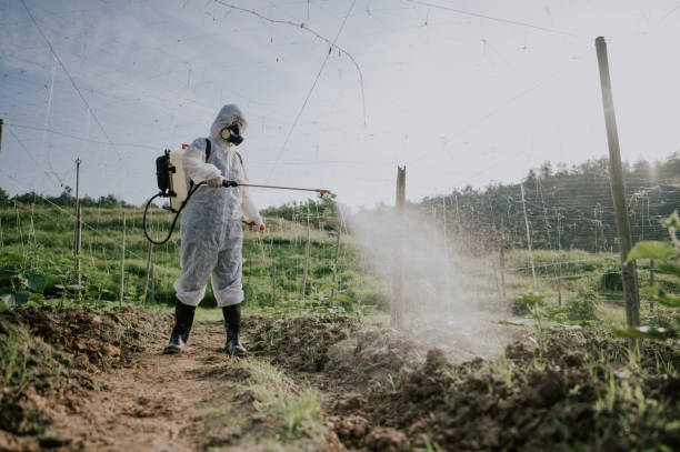 Best Pest Removal Services  in Lakeland South, WA