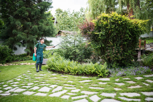 Best Pest Inspection Near Me  in Lakeland South, WA