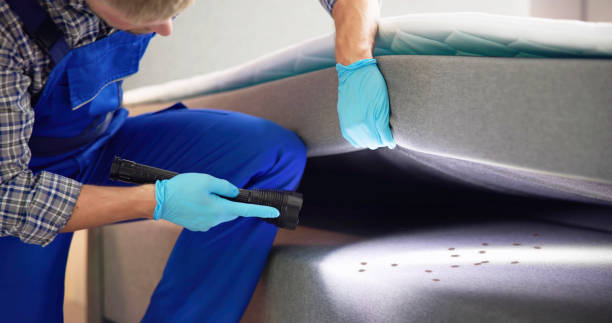 Reliable Lakeland South, WA Pest Control Solutions