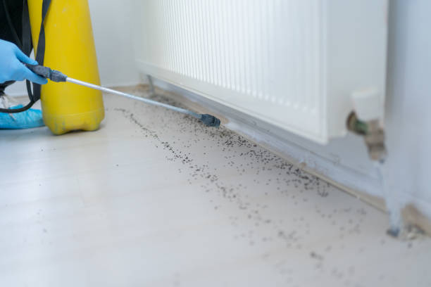 Best Wildlife Control Services  in Lakeland South, WA