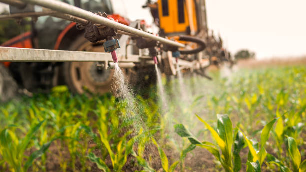 Best Pest Control for Businesses  in Lakeland South, WA